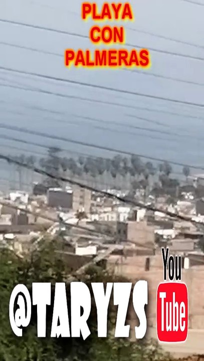 DONDE SE ENCUENTRA ESTA PLAYA CON PLAMERAS EN PERÚ