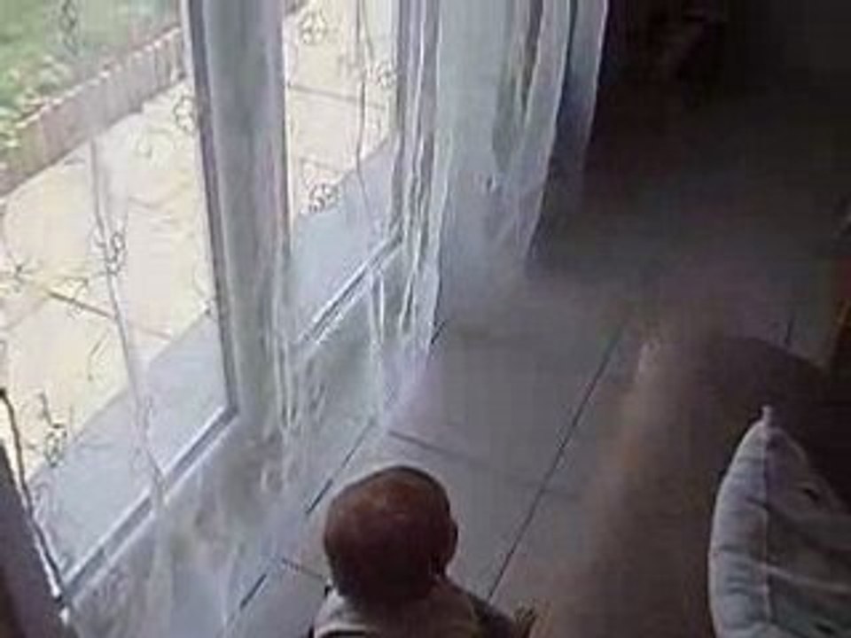 P1010503