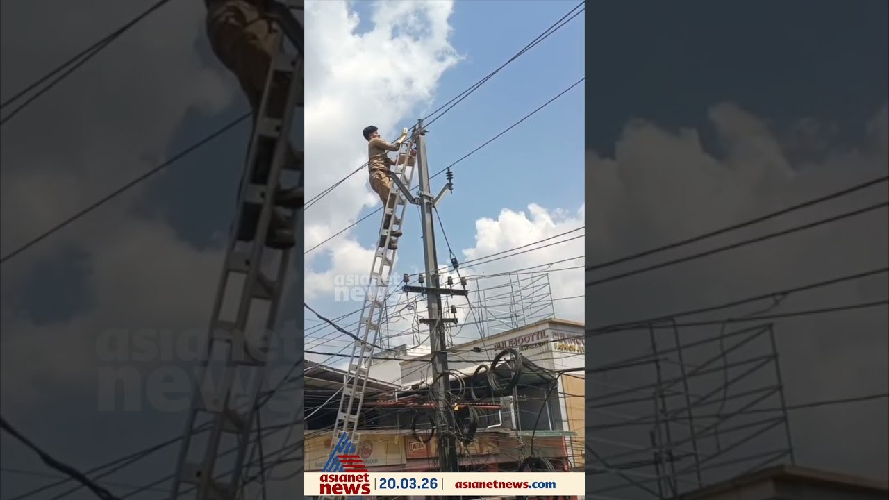 മാന്നാറിൽ വൈദ്യുതി ലൈനിൽ കുടുങ്ങിയ പ്രാവിന് രക്ഷകരായി അഗ്നിരക്ഷാസേന