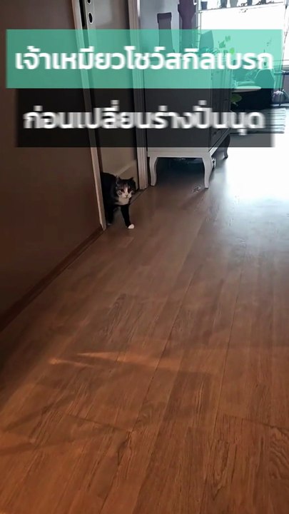 ปั่นนุดซะหน่อย ! เจ้าเหมียวโชว์สกิลเบรก ก่อนเล่นกลเปลี่ยนร่างอย่างไว