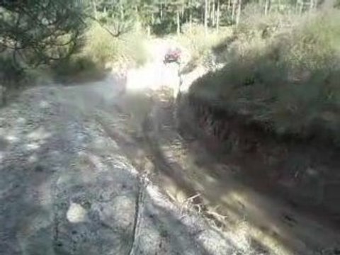 sortie land rover au marquenterre