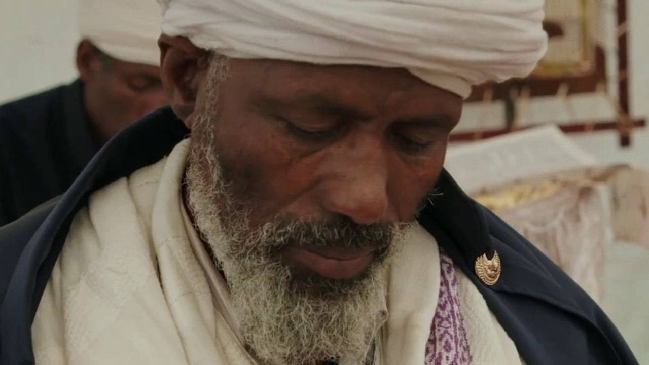 Wax & Gold Trailer DF