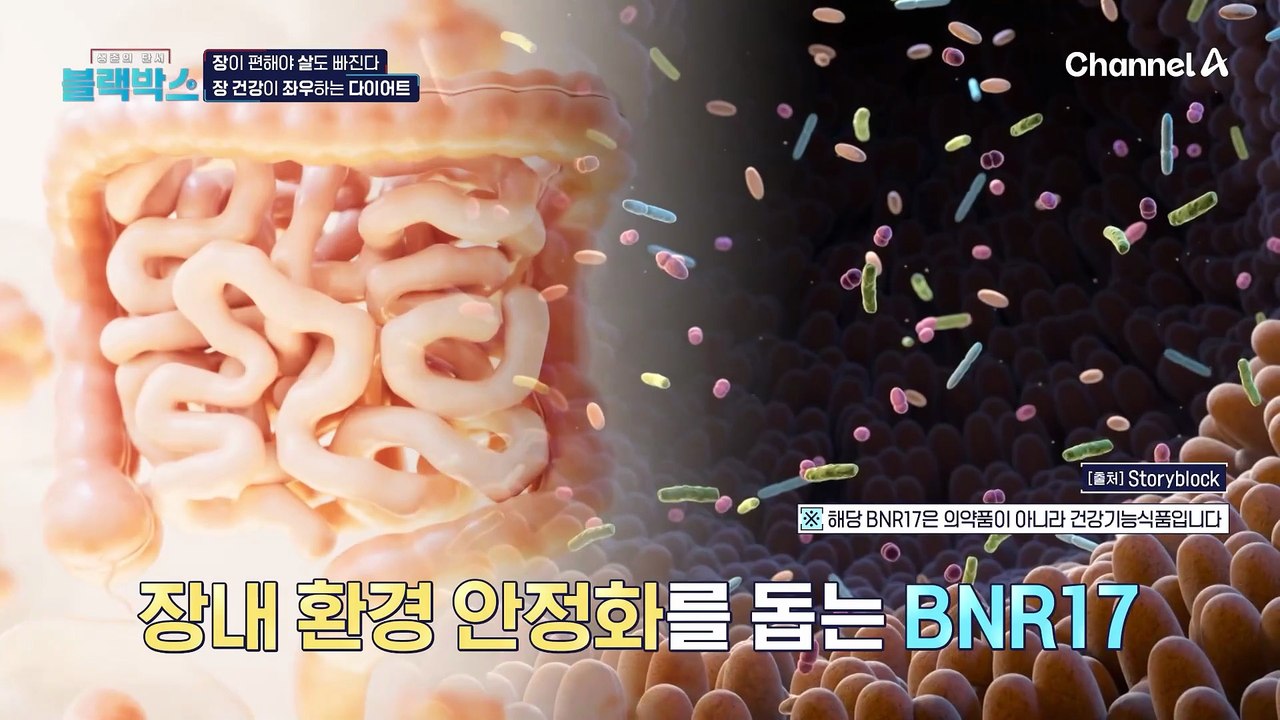 장 건강이 좌우하는 다이어트, '다이어트 유산균 BNR17'의 효능