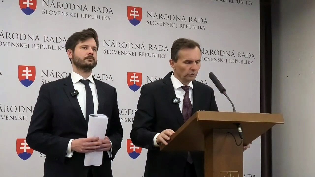 ZÁZNAM: TK strany Demokrati