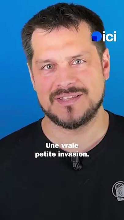 Astuce de Mamama - Les souris