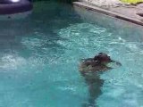 Vth dans la piscine 045
