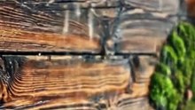 Hujan Lembut Menerpa Dinding Kayu Di Sebuah Rumah Desa