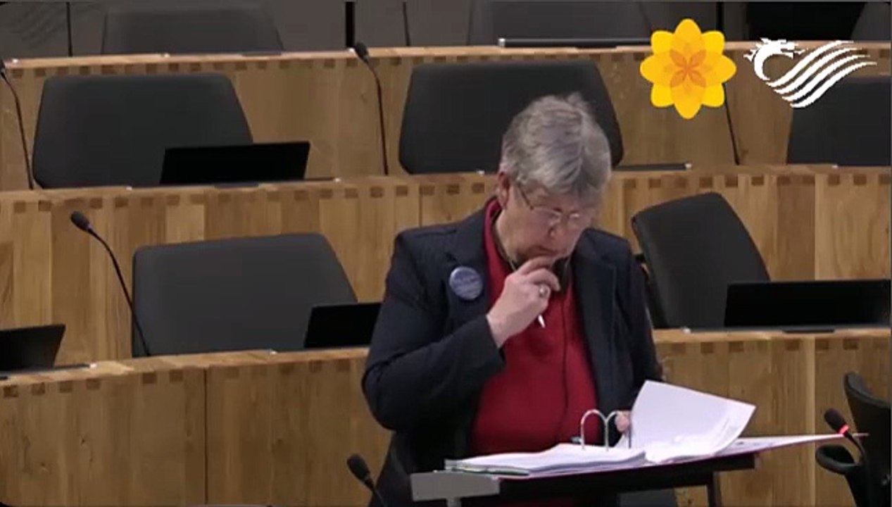 Dwyfor Meirionnydd MS Mabon ap Gwynfor calls for Blue Badge criteria to be reviewed