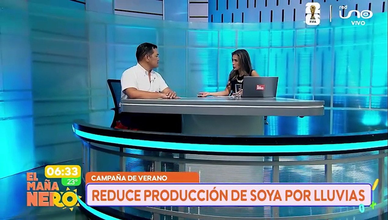 Campaña de verano reduce producción de soya por lluvias