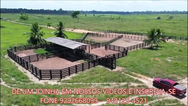 FAZENDA COM 4300 HECTARES A VENDA CMC