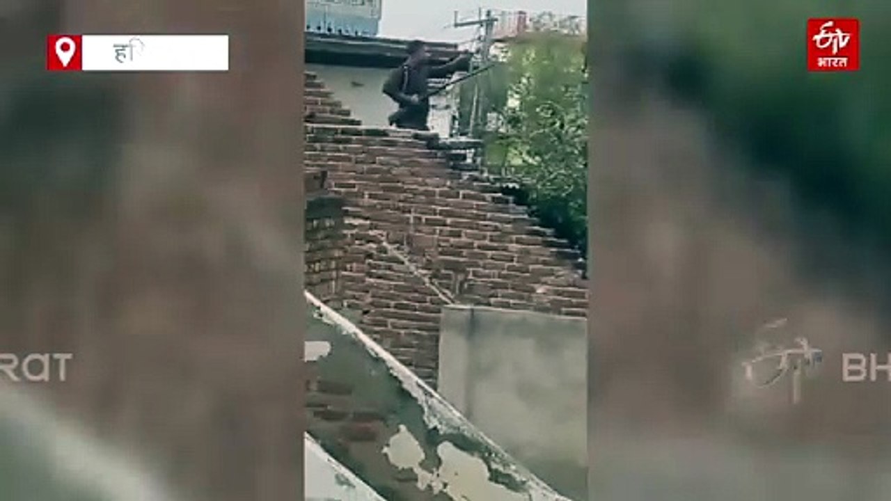 नूंह में शख्स की गोली मारकर हत्या, आपत्तिजनक पोस्ट और रंजिश को लेकर दो गुटों में विवाद, छत पर लहराए हथियार