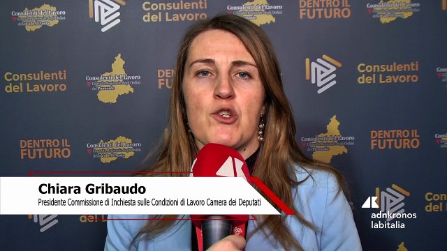 Consulenti lavoro: Gribaudo (Deputata) Incentivare welfare dei professionisti e lavoro femminile