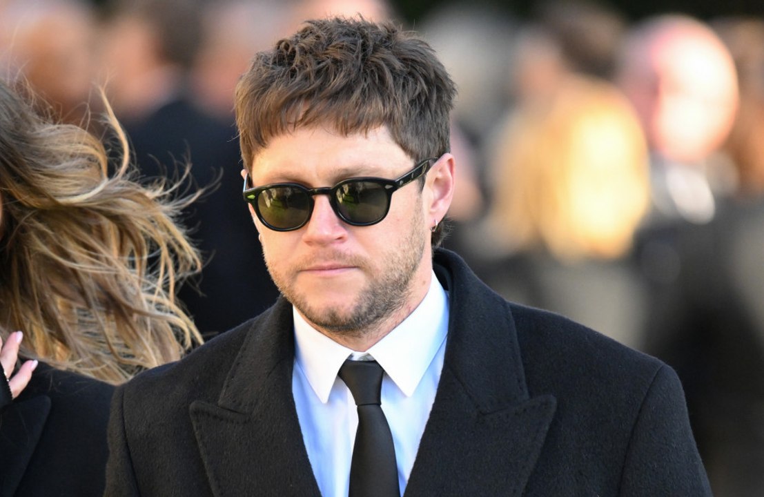 Niall Horan Opens Up About His Reaction to Liam Payne’s Passing