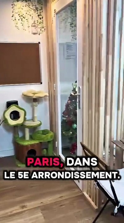 Le Chatelier lance sa campagne Ulule (et on a besoin de vous)