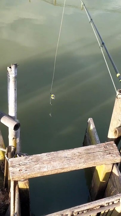 Wait for it 🎣