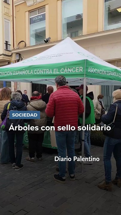 video arbolitos