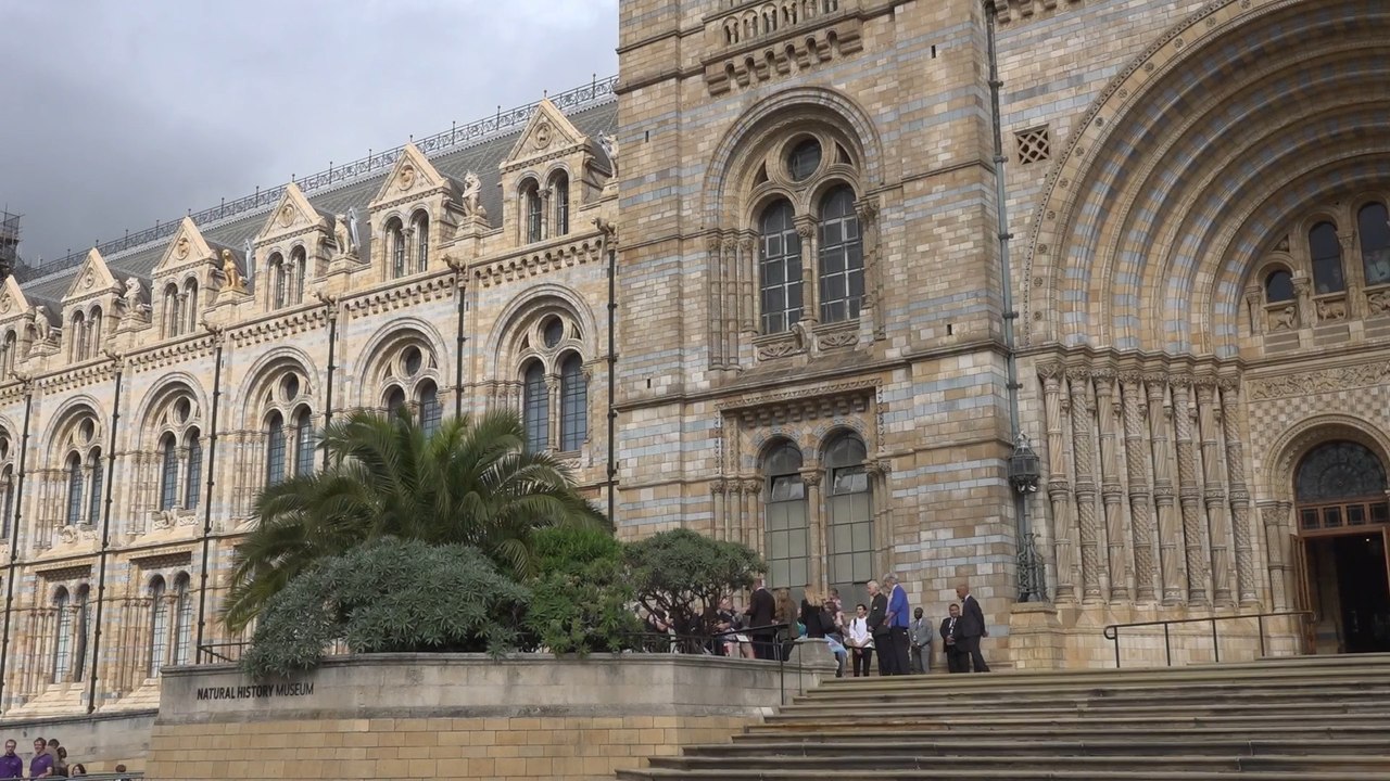 Natural History Museum becomes UK’s top attraction for visits