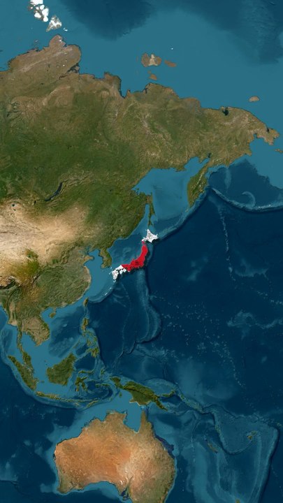 L’animation est mondiale : chaque pays a ses séries cultes qui ont marqué des générations, bien au-delà de leurs frontières.