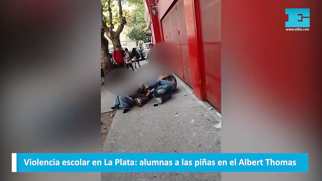 Violencia escolar en La Plata alumnas a las piñas en el Albert Thomas