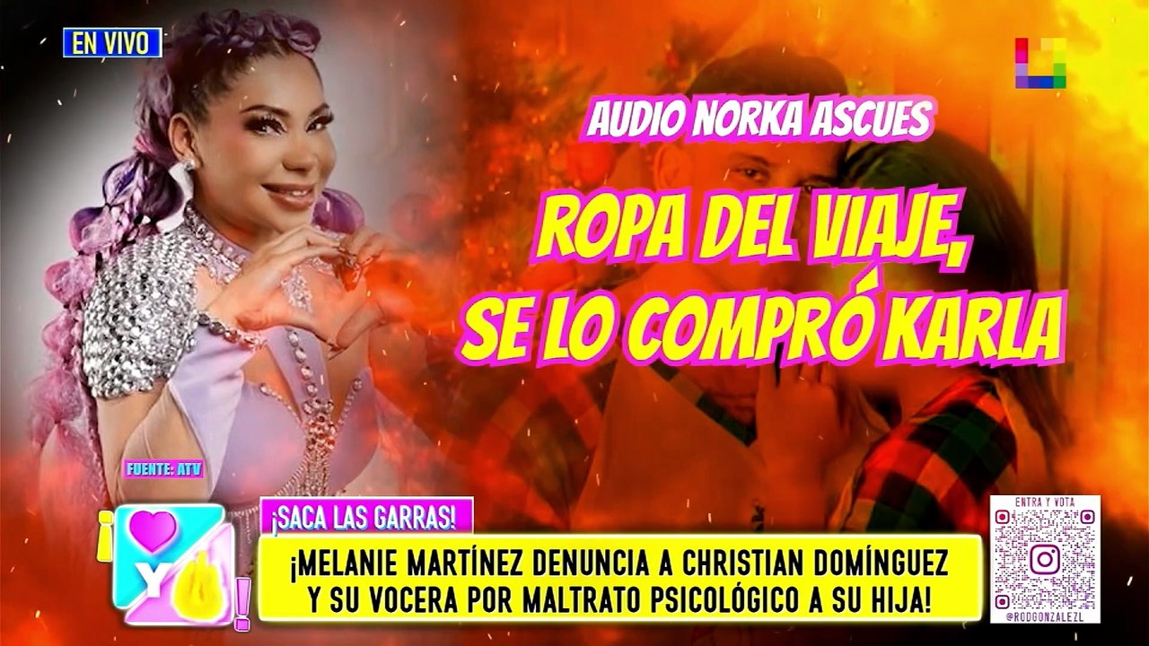 MELANIE MARTÍNEZ DENUNCIA A DOMÍNGUEZ Y SU VOCERA POR MALTRATO A SU HIJA | Willax