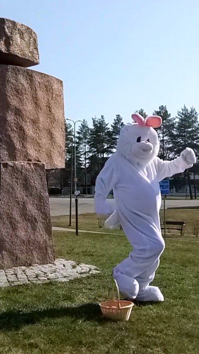 Easter Bunny dancing and eating carrots