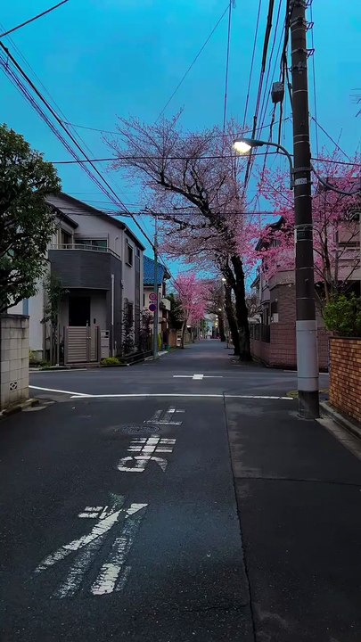 東京