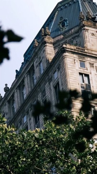 Widow to Queen - The Alpha's Resurrection - FULL | Reelshort