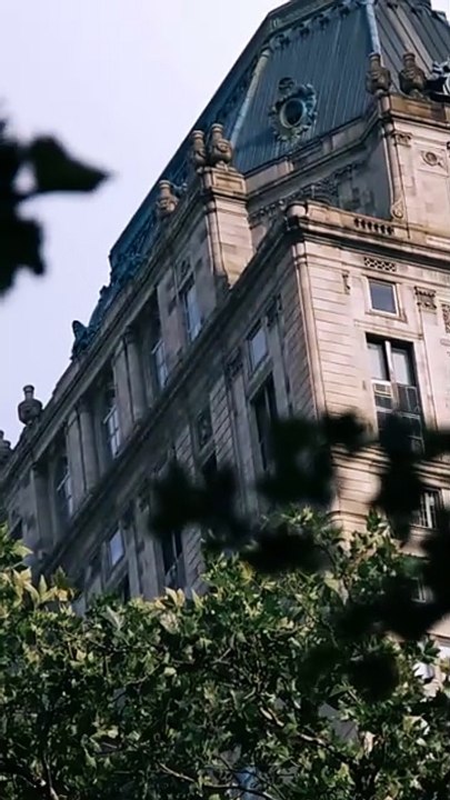 Widow to Queen - The Alpha's Resurrection - FULL _ Reelshort