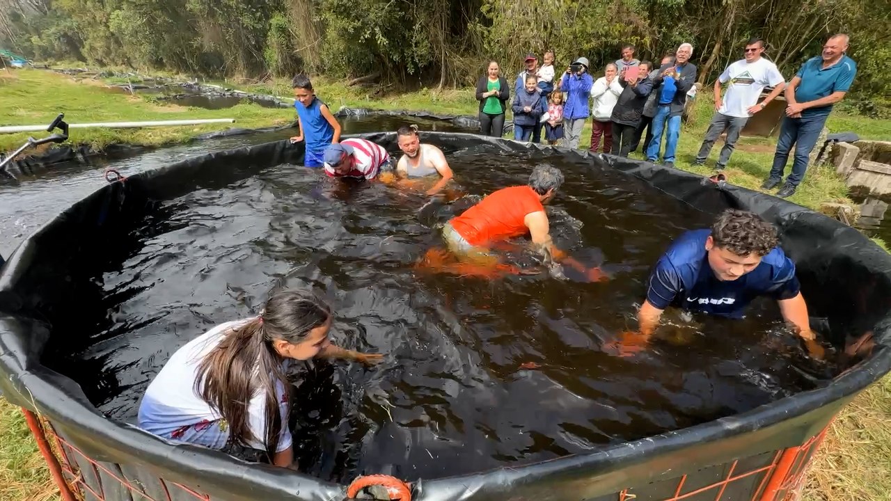 mqn-el-reto-que-todos-quieren-intentar-en-cartago-atrapar-truchas-solo-con-las-manos-200326
