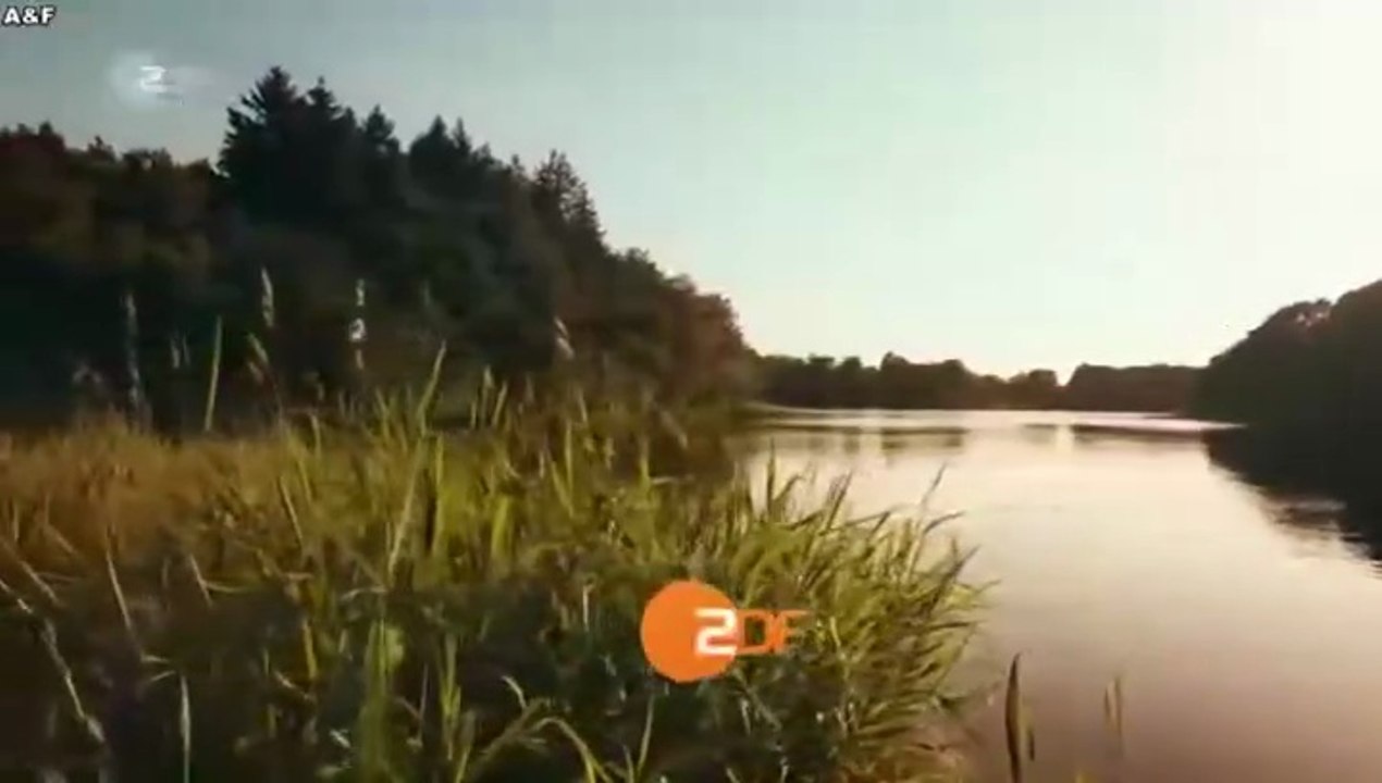 Malibu -01- Camping für Anfänger