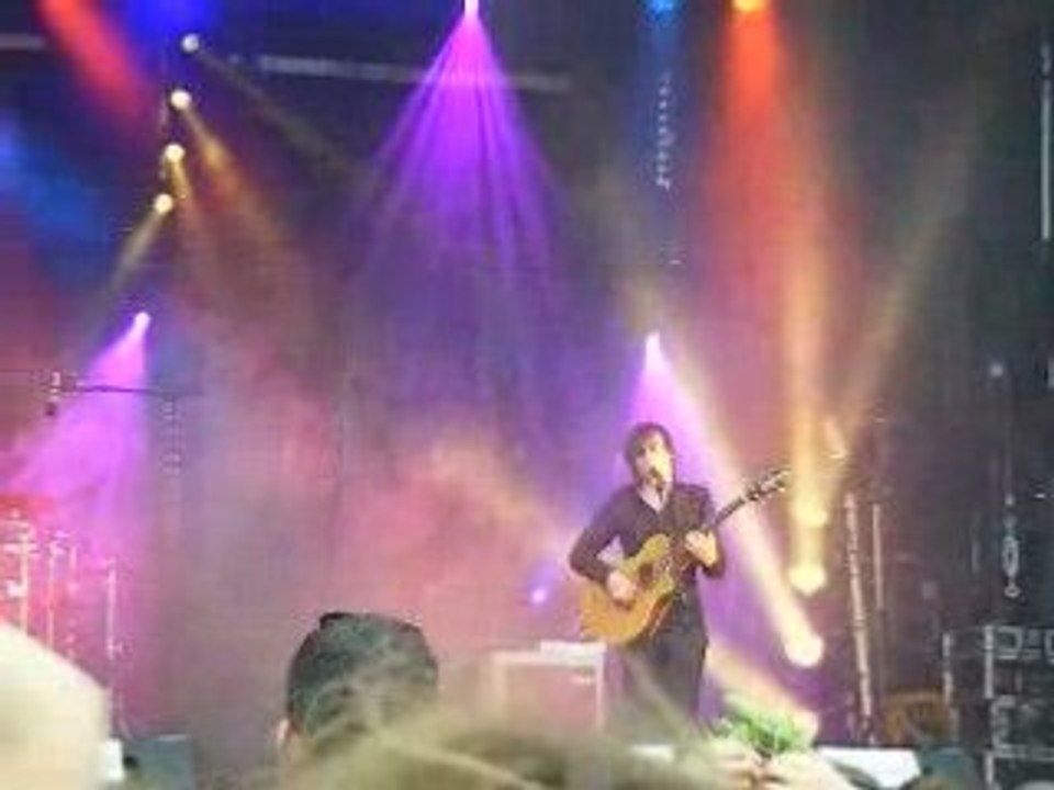 Puggy (papillons de nuit)