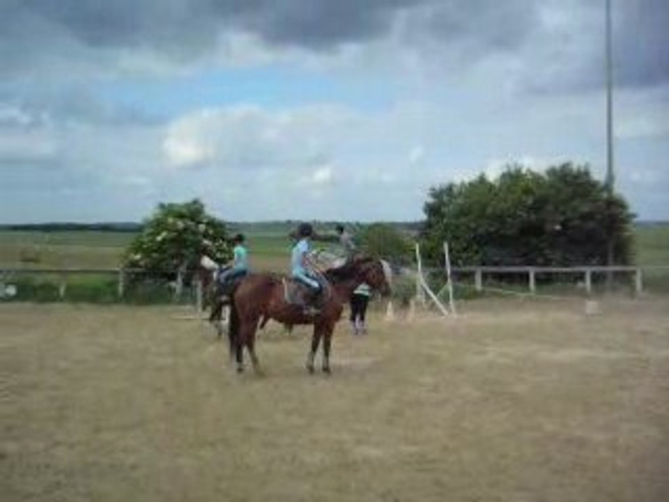 DSCN0357