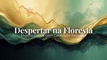 Despertar na Floresta | Música Calma com Cantos de Pássaros