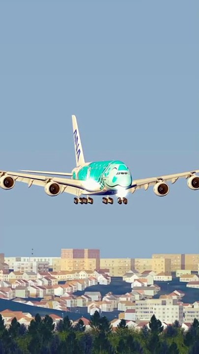 “ANA Turtle Jet Low Landing Shot”