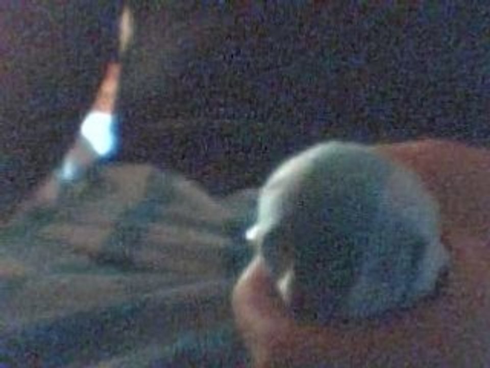 Video 2
