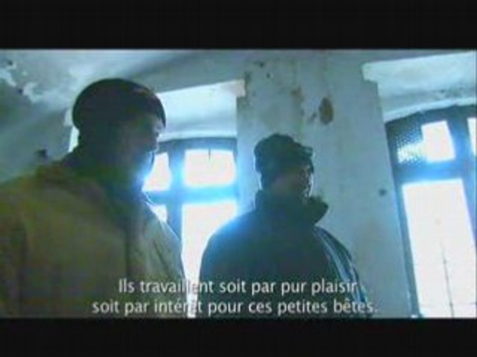 Natuurpunt Vlaanderen (Milieu - Belgium)