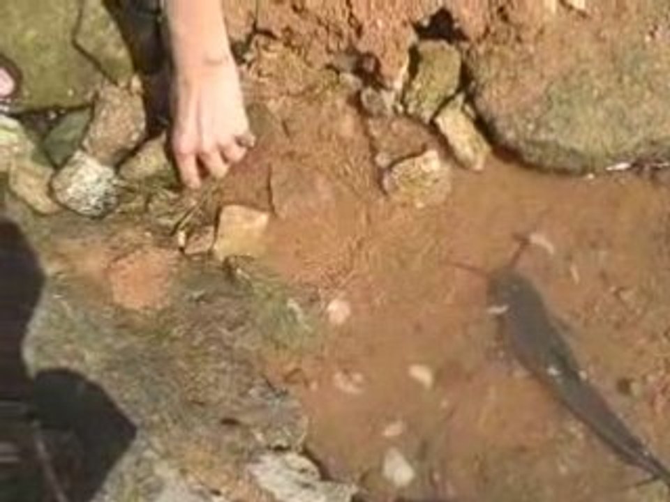 How To Learn The Skills To Market Online Successfully