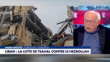 André Bercoff : «Depuis 40 ans, l'armée libanaise n'est rien à côté du Hezbollah»