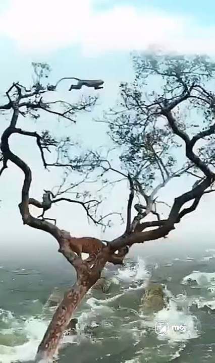 1000153361