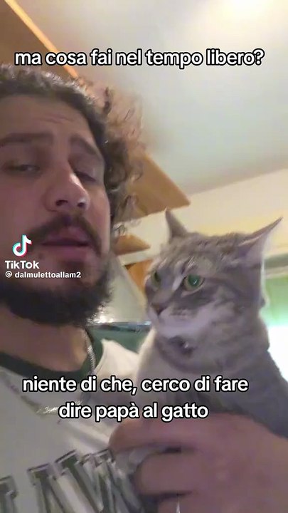 Das Kätzchen sollte Papa sagen