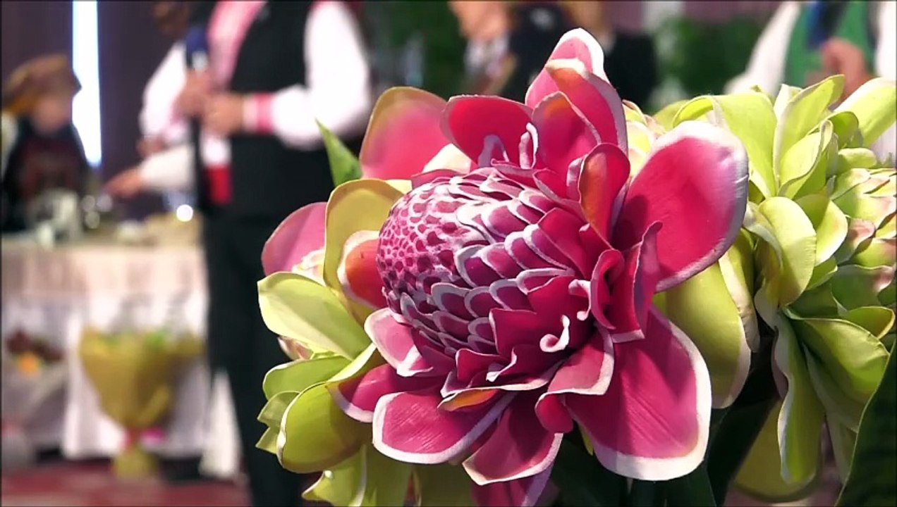 Nicolae Datcu - Hai roata si iar roata (Cantec din suflet de roman - ETNO TV - 31.10.2025)