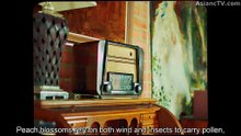 Peach Lover Episode 9 English sub Online