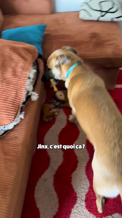 Aïe aïe aïe