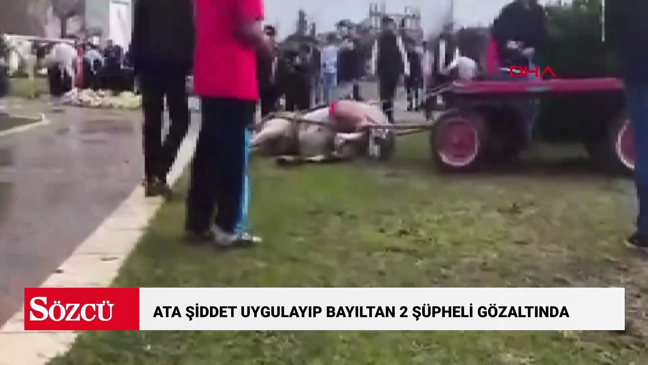 Koşmadığı gerekçesiyle ata şiddet uygulayıp bayıltan 2 şüpheli gözaltında