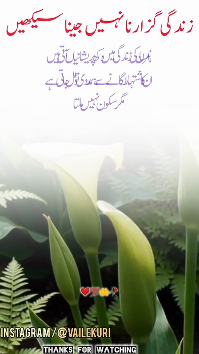 Zindagi guzarna nahi jeena sekhy