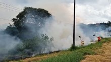 Incêndio em vegetação mobiliza bombeiros no bairro Brasmadeira, em Cascavel