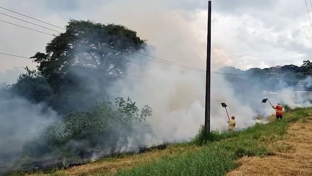 Incêndio em vegetação mobiliza bombeiros no bairro Brasmadeira, em Cascavel