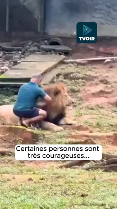 Il faut vraiment connaître son métier pour faire ça ! 😅🦁