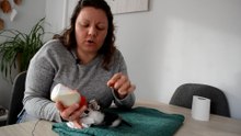 RESCATO 5 GATITOS RECIEN NACIDOS ABANDONADOS | EIRA, AIDEN, ARKO, KOSMO Y MAUSI | EP.3 DÍA 5