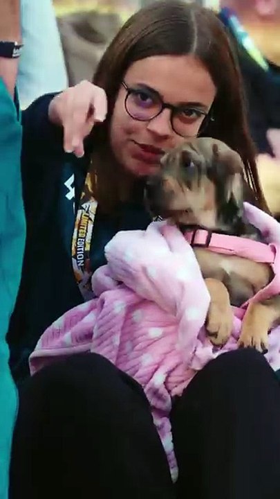 Il WRC è il Campionato più pet friendly